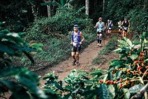 BIB: 
                            <button type="button" onclick="openModal(25839792)" class="btn btn-primary btn-sm float-right btn-popup" data-toggle="modal" data-target=".modal-high-quality">
                        <i class="fas fa-shopping-cart"></i> Add to Cart
                    </button>
                                            <button type="button" onclick="isThisMe(25839792, true)" class="btn btn-success btn-sm float-right btn-popup btn-isme hidden" data-toggle="tooltip" data-placement="bottom" title="นี่คือรูปของคุณใช่ไหม คลิกที่นี่เพื่อเอาเข้าอัลบั้ม">
                        <i class="fas fa-plus"></i> Add to album
                    </button>
                    <button type="button" onclick="isThisMe(25839792, false)" class="btn btn-warning btn-sm float-right btn-popup btn-isnotme hidden">
                        <i class="fas fa-ban"></i> Remove from album
                    </button>